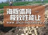 种植基地八