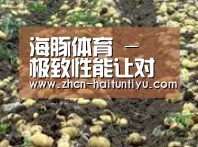 种植基地七