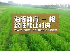 种植基地四