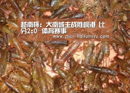 体育赛事